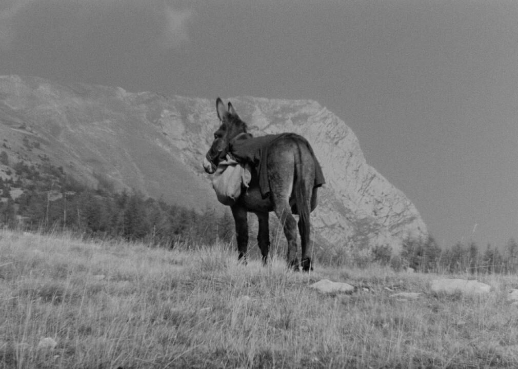 #1. Au Hasard Balthazar (1966)